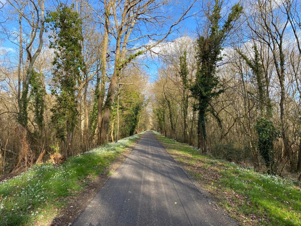 Studio Indre, La halte de Cuzé, aux abords de la Loire à vélo Huismes Exterior foto